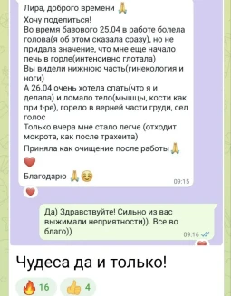 Отзывы по интенсиву Гармония Души