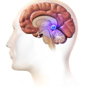 курс активация шишковидной железы